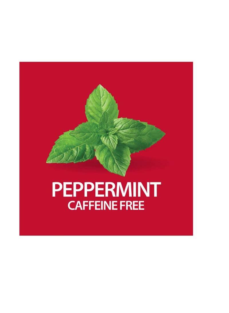 21st Century Herbal Slimming Tea Peppermint Caffeine Free 24 Tea Bags48 g - Image 3