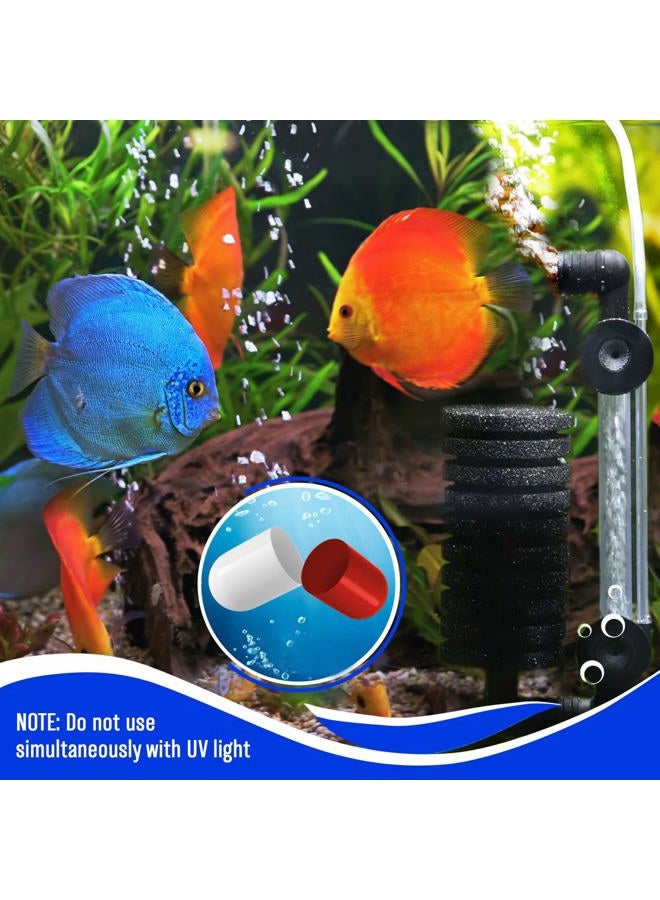 Beseder Bio Starter. Aquarium Booster. Fish Tank Water Cleaner. Digester of Excess nutrients. Makes Water Healthy, Reduces The Amount of Nitrite and Ammonia. Reduces The Need for Aquarium Cleaning. - Image 5