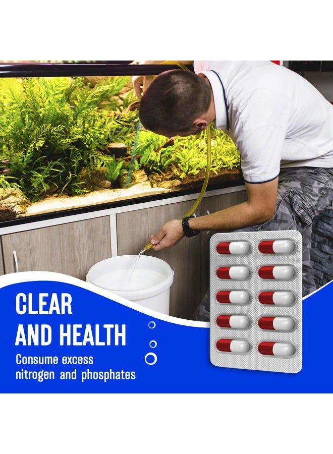 Beseder Bio Starter. Aquarium Booster. Fish Tank Water Cleaner. Digester of Excess nutrients. Makes Water Healthy, Reduces The Amount of Nitrite and Ammonia. Reduces The Need for Aquarium Cleaning. - Image 3
