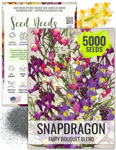 Seed Needs, Fairy Bouquet Snapdragon Seeds - Blend of 5,000 Heirloom Seeds for Planting Linaria maroccana - Annual Flowers to Attract Pollinators to a Butterfly Garden (1 Pack) - Image 1