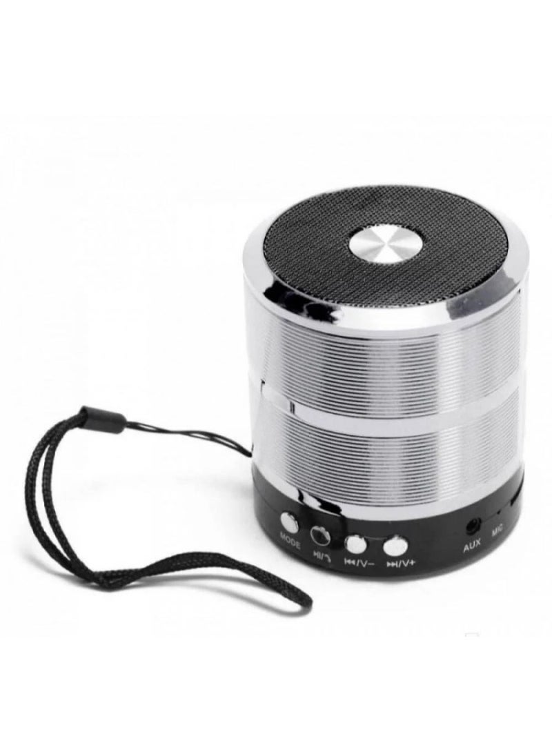 مكبر صوت بلوتوث صغير WS-887 مع راديو اف ام، فتحة بطاقة الذاكرة، فتحة ذاكرة يو اس بي، وضع ادخال AUX - Image 1