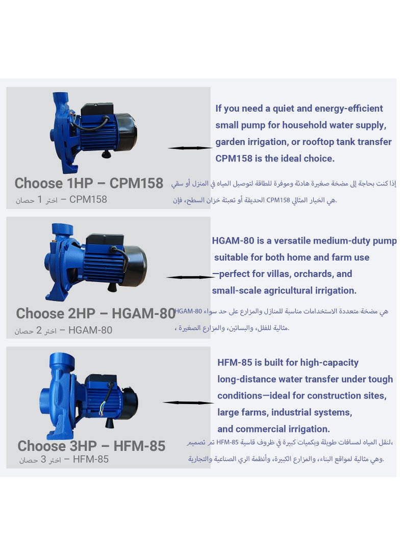SUNRISE 2HP High Flow Water Pump for Garden, 1500W Centrifugal Pump with Brass Impeller and 1.5 Inch Inlet, IP44 Copper Motor for Tank and Pressure Boosting - Image 5