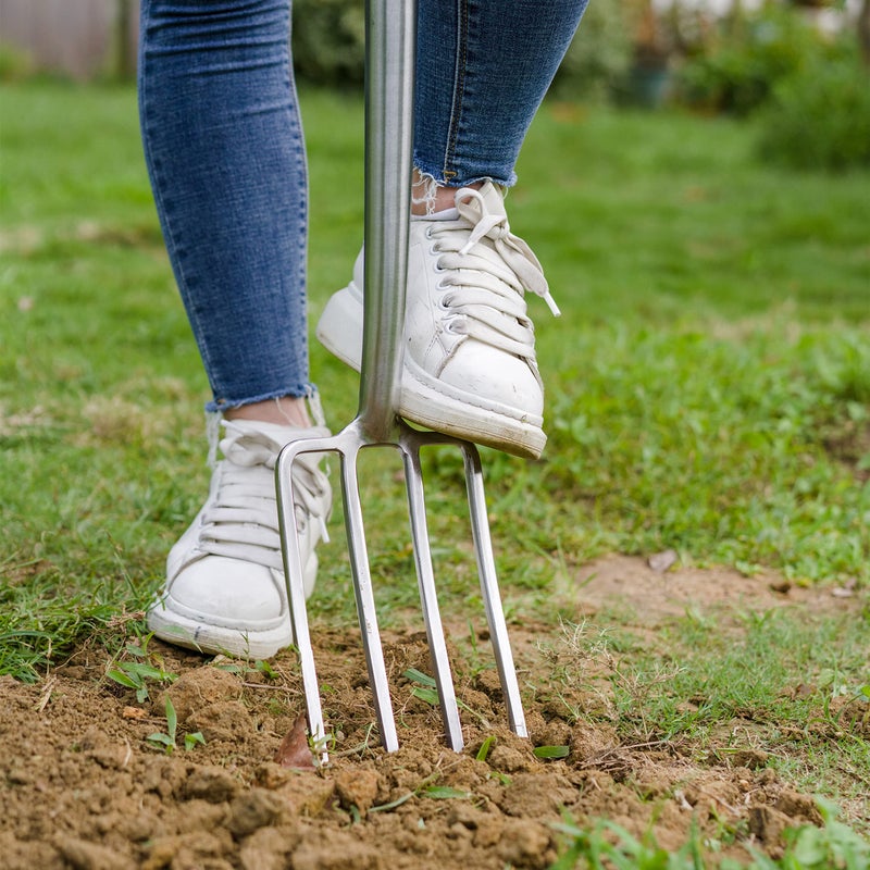Berry&Bird Garden Digging Fork, 37.4" Stainless Steel Garden Spading Fork with D-Grip Handle, 4-Tine Heavy Duty Long Handled Pitchfork with Ash Wood Handle for Digging, Planting, Cultivating, Aerating - Image 4