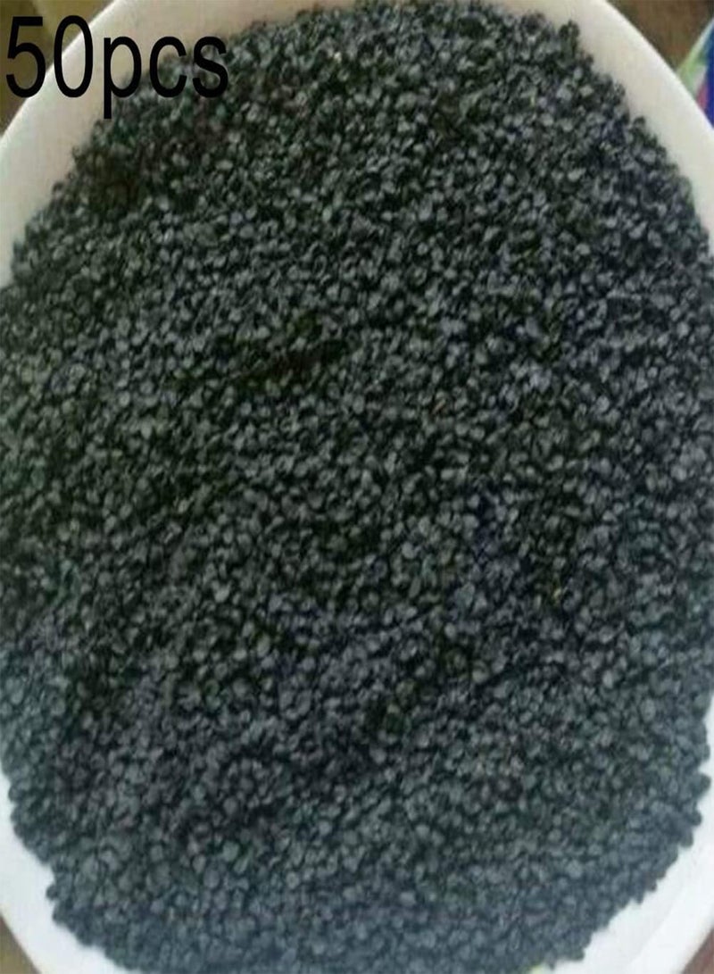 GGOOT 50Pcs Onion Seeds Growing Kit for Garden Backyards Yield Vegetable Garden Backyard Plant for Emergency Onion Seeds 1 - Image 2