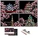BOTEEN Scratch Painting Rainbow Paper by BOTEEN Scratch Sketch DIY Art Craft City Series Night View Creative Gift Scratchboard for Adults and Kids Craft Kits with 4 Tools A4 4pack - Image 3