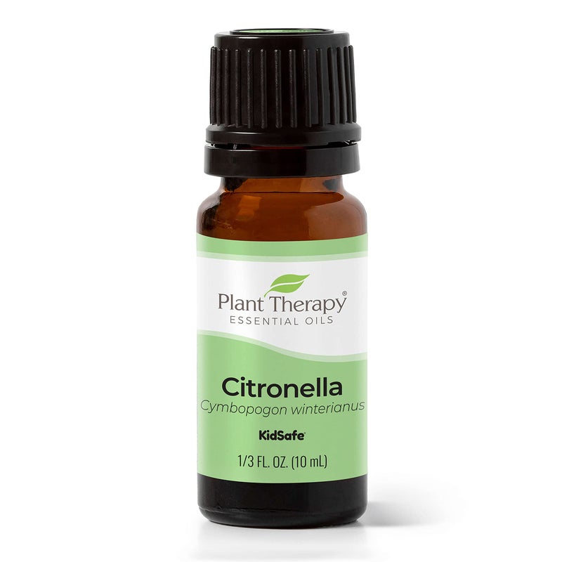 Plant Therapy Citronella Essential Oil 10 mL 13 oz 100 Pure Undiluted Citronella Oil for Aromatherapy Diffuser Candle Making Skin Care Outdoors Therapeutic Grade