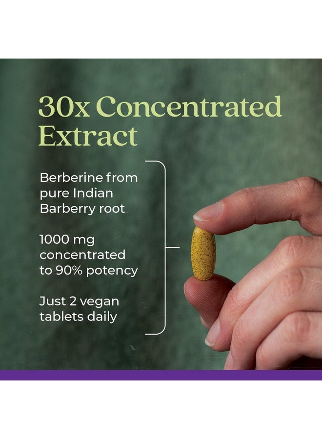 New Chapter مكمل بيربرين من نيو تشابتر - بيربرين فائق القوة 1000 ملغ، مستخلص باربيري هندي مركز 30x لدعم الصحة الأيضية + صحة القلب + دعم الجلوكوز، نباتي، خالي من الغلوتين، 60 حبة - Image 3