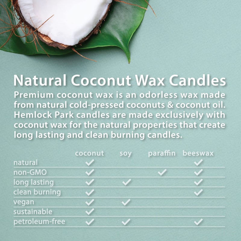 Hemlock Park Crackling Wood Wick Candle Handcrafted with Natural Coconut Wax (Standard 8 oz, Bergamot Cedar) - Image 5