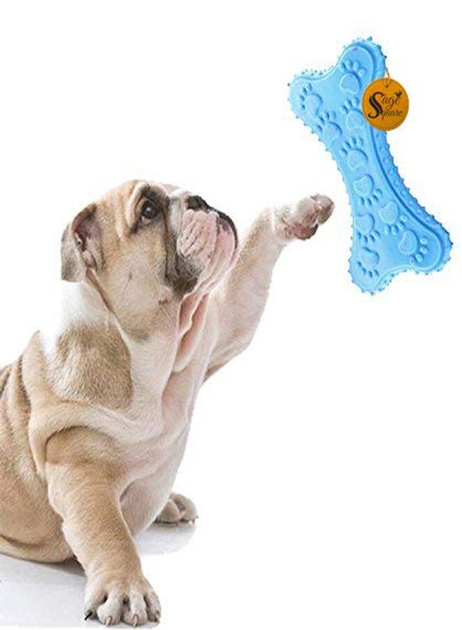 Sage Square Natural Rubber Squeaky Toy Cum Chew Bone Shape Toy for Dog/Puppy/Cat/Kitten (Blue) - Image 1