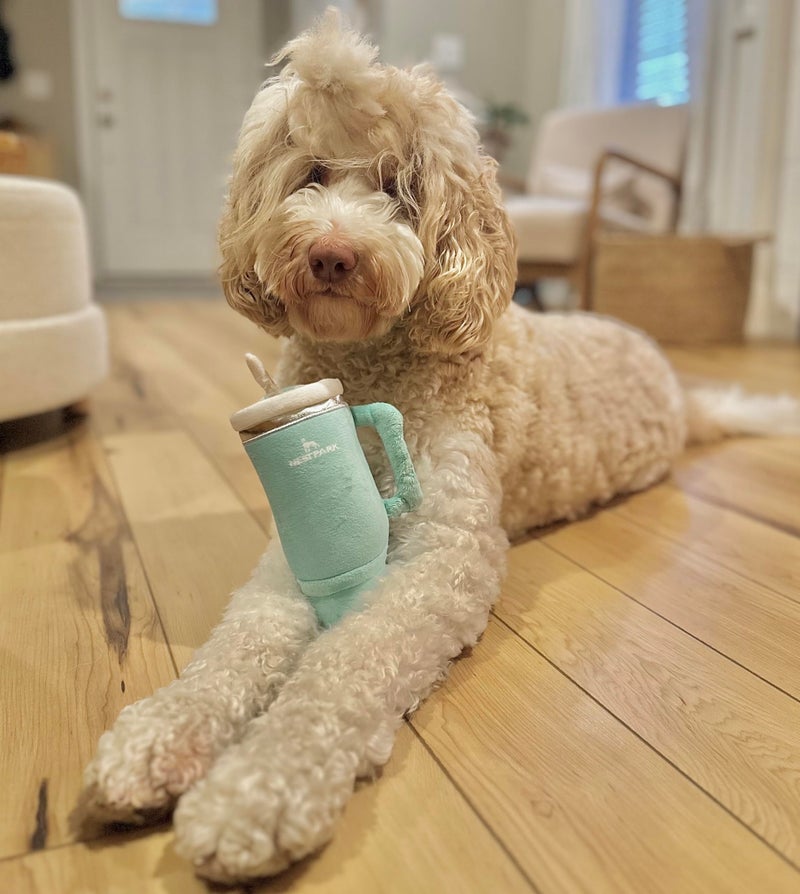 Nestpark Tumbler Cup Funny Dog Toy - Parody Plush Squeaky Crinkle Dog Toy (Seafoam Green) - Image 4