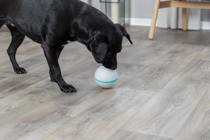 TRIXIE Treat Tumbler Snack Ball Dog Toy Level 1 Interactive Treat Dispensing Dog Puzzle Enrichment Toy Medium - Image 2