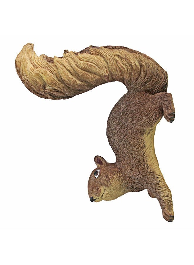 Design Toscano NG34034 Simone The Squirrel Woodland Decor Hanging Garden Statue, 8 Inch, Full Color - Image 1
