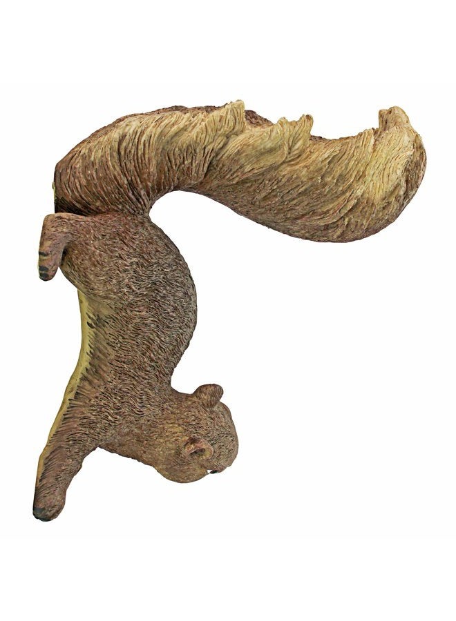 Design Toscano NG34034 Simone The Squirrel Woodland Decor Hanging Garden Statue, 8 Inch, Full Color - Image 4