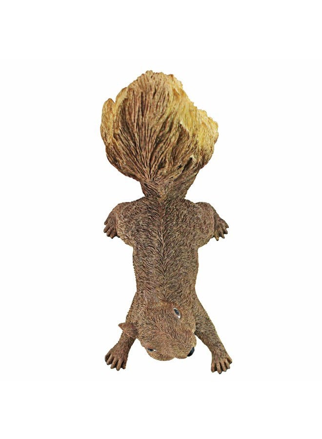 Design Toscano NG34034 Simone The Squirrel Woodland Decor Hanging Garden Statue, 8 Inch, Full Color - Image 3
