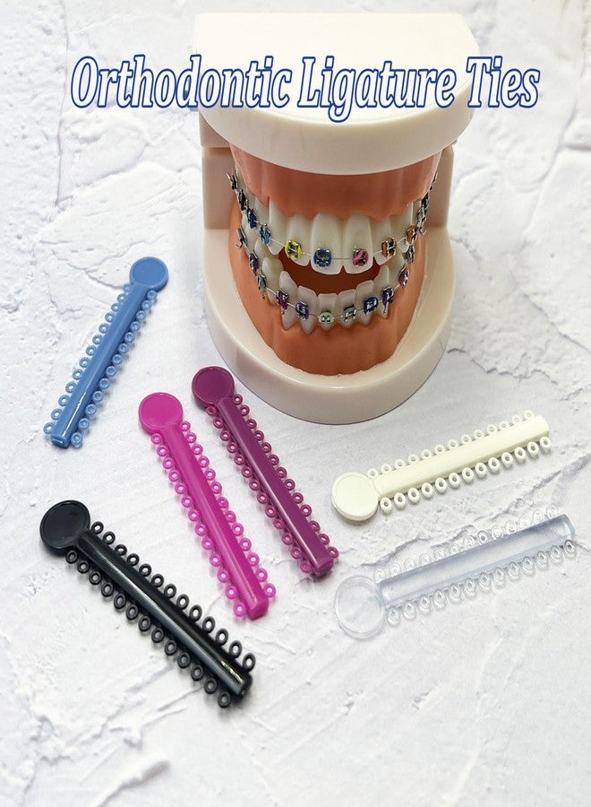 HRASY 1040 pcs Orthodontic Ligature Ties Braces Rubber Bands O-Ring, Multicolor - Image 4