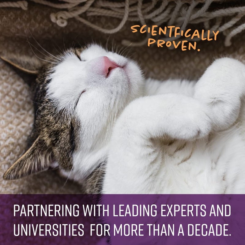 Sentry Calming Chews for Cats, Calming Aid Helps to Manage Stress & Anxiety, With Pheromones That May Help Curb Destructive Behavior & Separation Anxiety, Calming Health Supplement for Cats, 4 oz. - Image 4