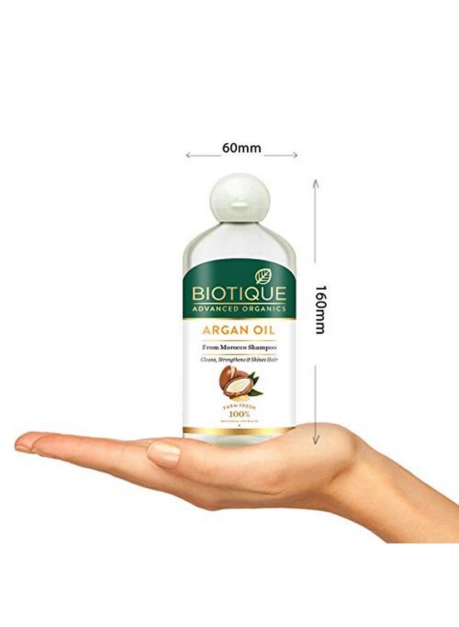 Biotique Argan Oil Hair Shampoo From Morocco (Cleans, Strengthens And Shines Hair), 300Ml - Image 4