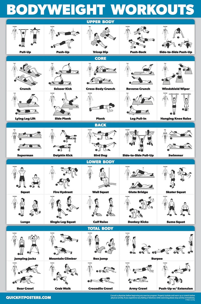 Palace Learning Dumbbell Workouts and Bodyweight Exercise Poster Set - LAMINATED 2 Chart Set - Dumbbell Exercise Routine & Body Weight Workouts (18" x 24") - Image 5