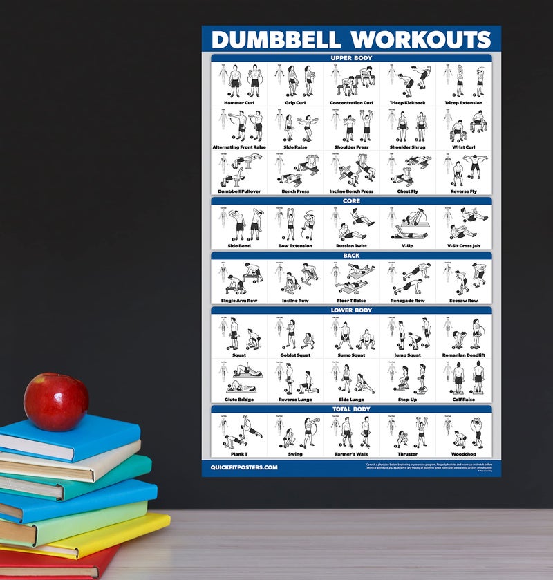 Palace Learning Dumbbell Workouts and Bodyweight Exercise Poster Set - LAMINATED 2 Chart Set - Dumbbell Exercise Routine & Body Weight Workouts (18" x 24") - Image 4