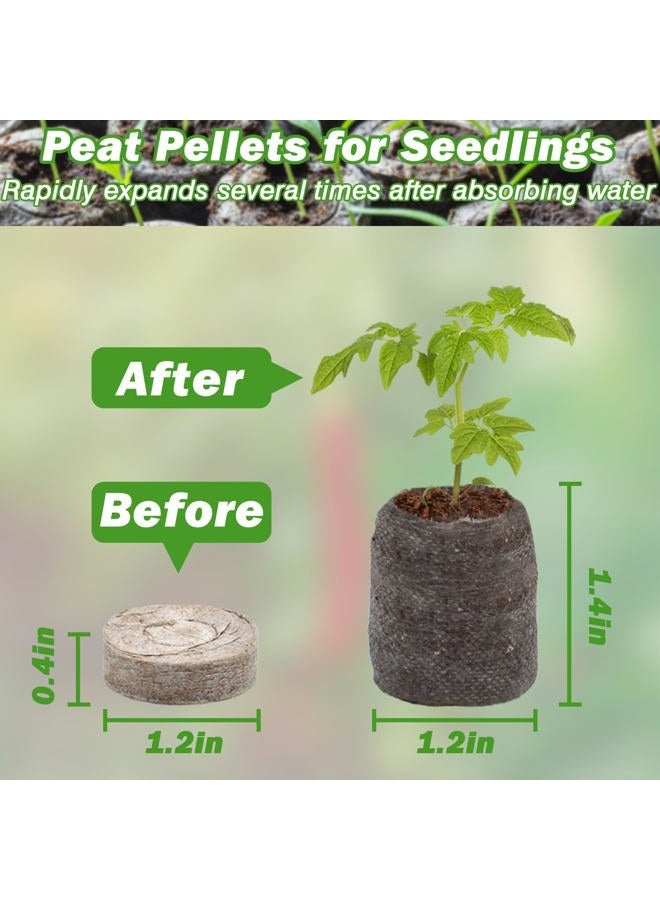 ZeeDix 30mm 50Pcs Compressed Peat Pellet Fiber Soil Plant Seed Starters - Nursery Plugs Pallet Seedling Soil Block for Grow Herbs Plant Flowers Vegetables(with Box) - Image 2