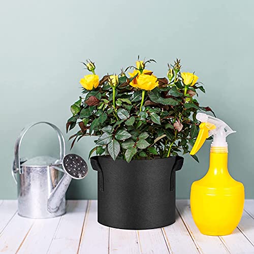 ecofynd 12 inches Non Woven Fabric Pots Grow Bags | Heavy Duty Thickened Fabric Vessel for Indoor & Outdoor, Garden, Office, Balcony (Pack of 2, Black) - Image 5
