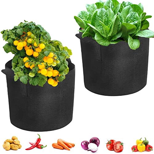 ecofynd 12 inches Non Woven Fabric Pots Grow Bags | Heavy Duty Thickened Fabric Vessel for Indoor & Outdoor, Garden, Office, Balcony (Pack of 2, Black) - Image 1