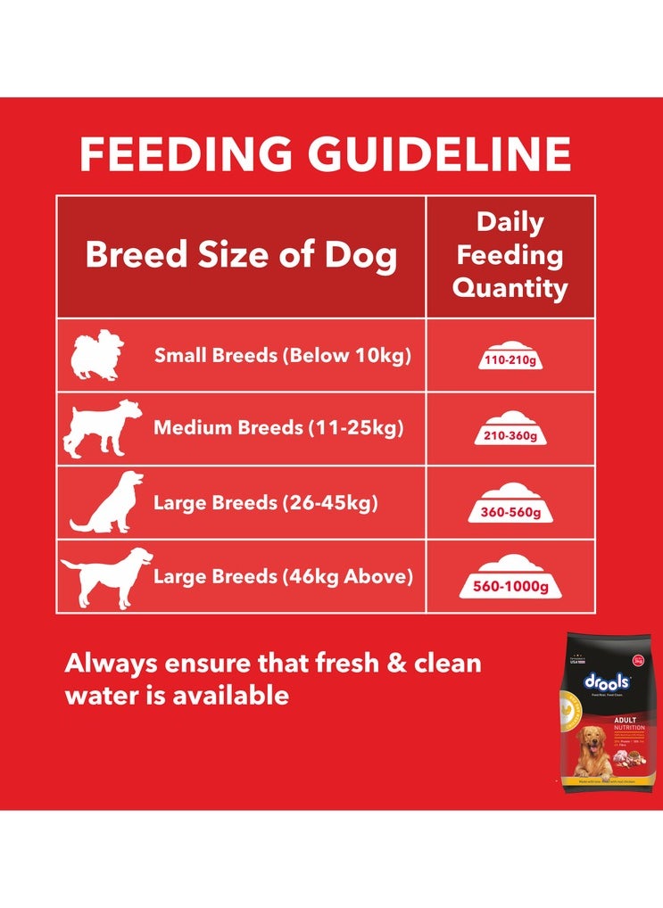 Chicken And Egg Adult Dry Dog Food 3 - pzsku/Z0D399E6DA565B9FE58FEZ/45/_/1722351989/5e36afad-3f75-4d26-b337-ac7a9f424340