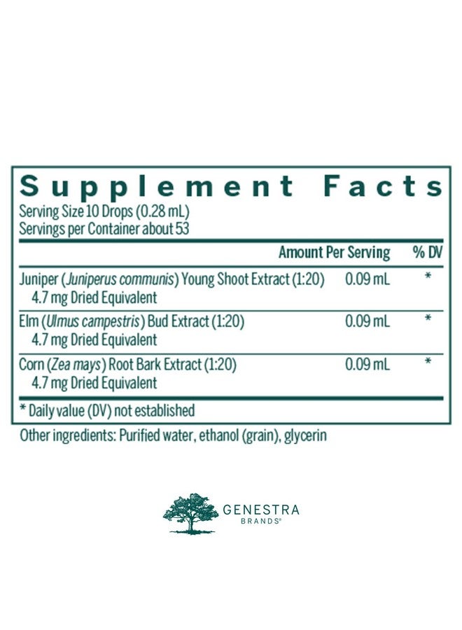 Genestra Brands Renalgen  Juniper Elm And Corn Herbal Supplement  05 Fl Oz - Image 2