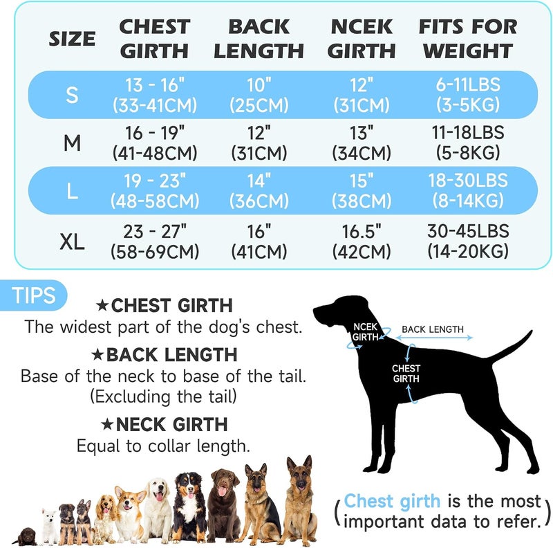 ZINGTERRA Dog Cooling Vest,Adjustable Lightweight Dog Cooler Jacket for Summer 3D Breathable Mesh Pet Cooling Shirts with Reflective Stripe UV Protection Pet T Shirt for Beach, Hiking, Walking - Image 2
