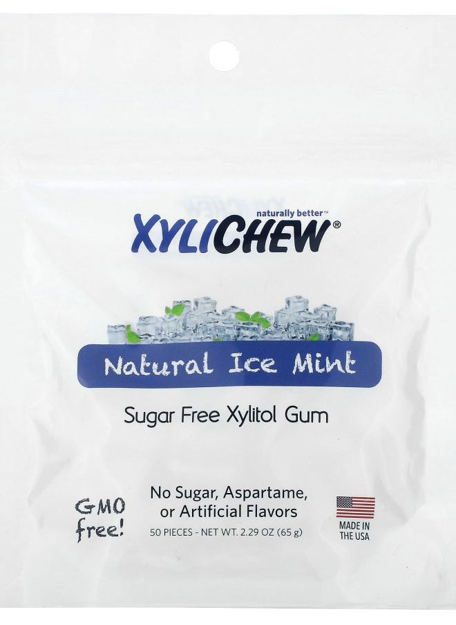 XyliDENT - Xylichew Natural ice Mint 50 Pieces 2.29 oz (65 g) - Image 1