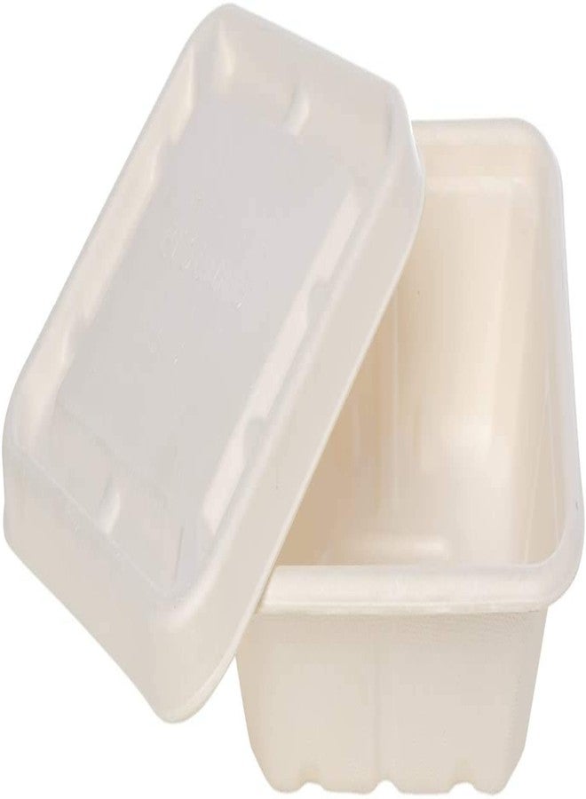 ECOWARE® 100% Natural, Biodegradable, Compostable, Ecofriendly, Safe & Hygienic Disposable 750 ml Takeaway Box with Lid - Large Size(Pack of 25 Boxes) - Image 1