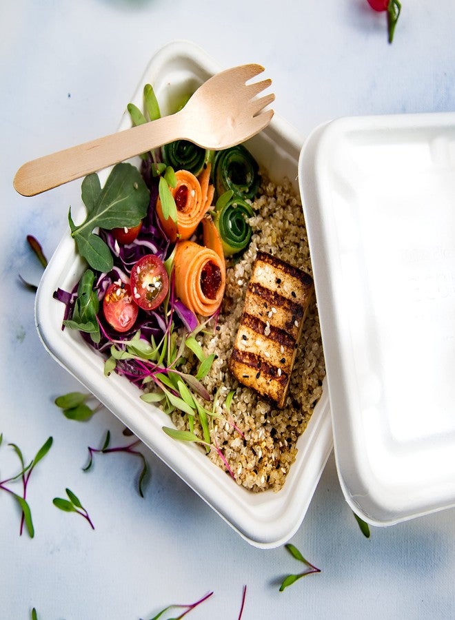 ECOWARE® 100% Natural, Biodegradable, Compostable, Ecofriendly, Safe & Hygienic Disposable 750 ml Takeaway Box with Lid - Large Size(Pack of 25 Boxes) - Image 2