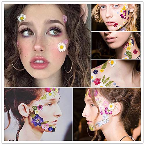 Vignee 170Pcs+ Real Dried Pressed Flowers Leaves Petals for Crafts-Beautiful Pressed Flowers Daisies for Resin Jewellery, Pressed Flowers Nail Pendant Crafts Making Craft DIY Accessories with 1pcs Tweezers - Image 5