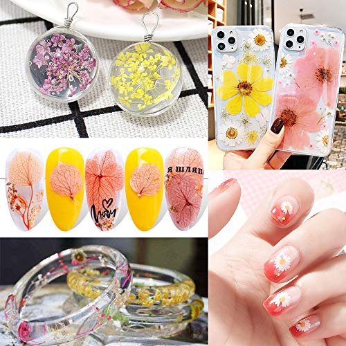 Vignee 170Pcs+ Real Dried Pressed Flowers Leaves Petals for Crafts-Beautiful Pressed Flowers Daisies for Resin Jewellery, Pressed Flowers Nail Pendant Crafts Making Craft DIY Accessories with 1pcs Tweezers - Image 4