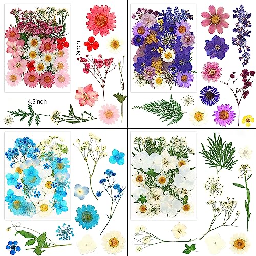 Vignee 170Pcs+ Real Dried Pressed Flowers Leaves Petals for Crafts-Beautiful Pressed Flowers Daisies for Resin Jewellery, Pressed Flowers Nail Pendant Crafts Making Craft DIY Accessories with 1pcs Tweezers - Image 2