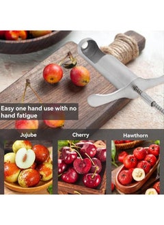 Executive LLC Red Dates Corer, Jujube Pitter Multifunctional, Portable Fruit Core Remover with Unique Design Fruit Core Remover for Red Dates, Pear, Cherry, Jujube  - Image 3