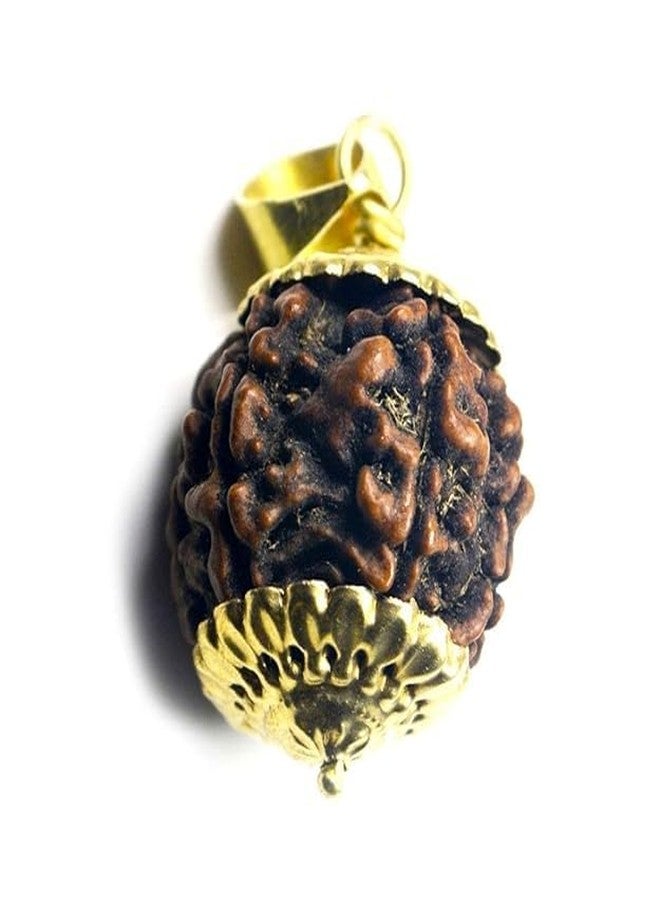 DEVAMA THE DIVINE 5 Mukhi Rudraksha Pendant, Round Gold Plated Locket, Traditional Religious Jewellery - Image 1