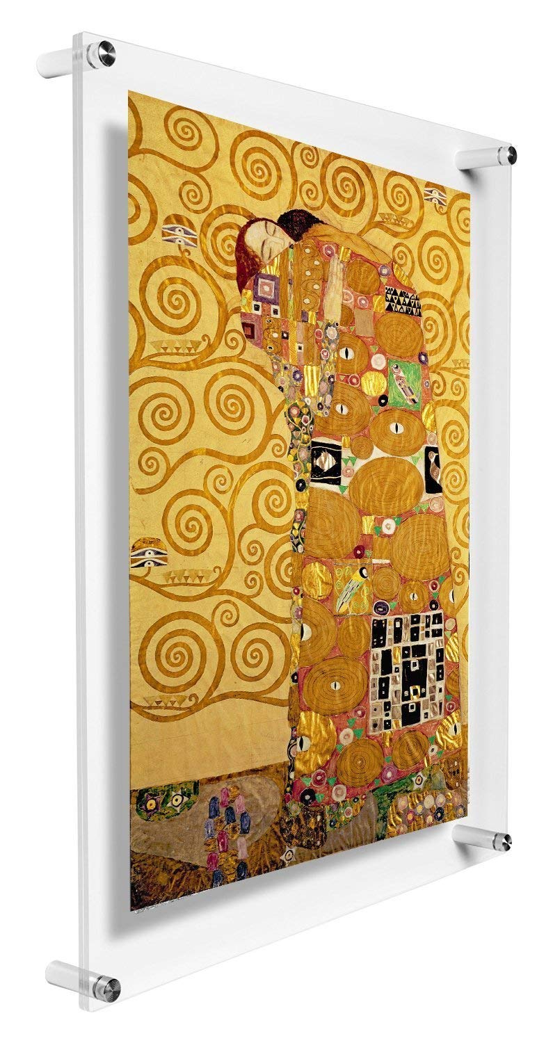 B&NN BNN Double Panel Floating Clear Acrylic Wall Mount Sign Frame Certificate Frame Wall Photo or Document Frame 8x10