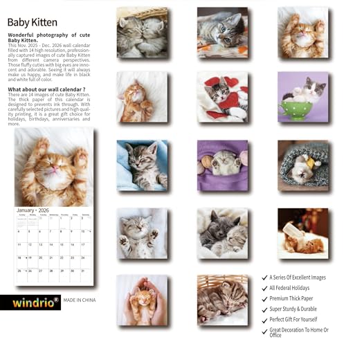 windrio 2026 Wall Calendar,Calendar 2026, November 2025 - December 2026, Wall Calendar Baby Kitten, 12" x 24" Opened,Full Page Months Thick & Sturdy Paper for Calendar Organizing & Planning - Image 2
