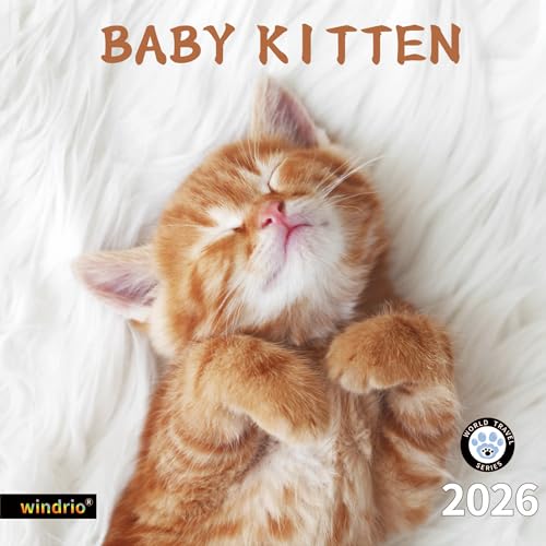 windrio 2026 Wall Calendar,Calendar 2026, November 2025 - December 2026, Wall Calendar Baby Kitten, 12" x 24" Opened,Full Page Months Thick & Sturdy Paper for Calendar Organizing & Planning - Image 1