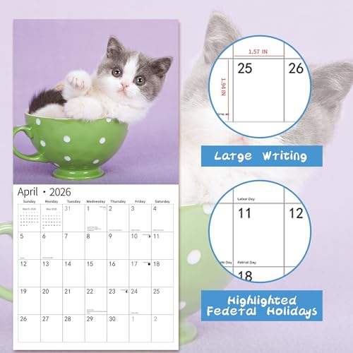 windrio 2026 Wall Calendar,Calendar 2026, November 2025 - December 2026, Wall Calendar Baby Kitten, 12" x 24" Opened,Full Page Months Thick & Sturdy Paper for Calendar Organizing & Planning - Image 3