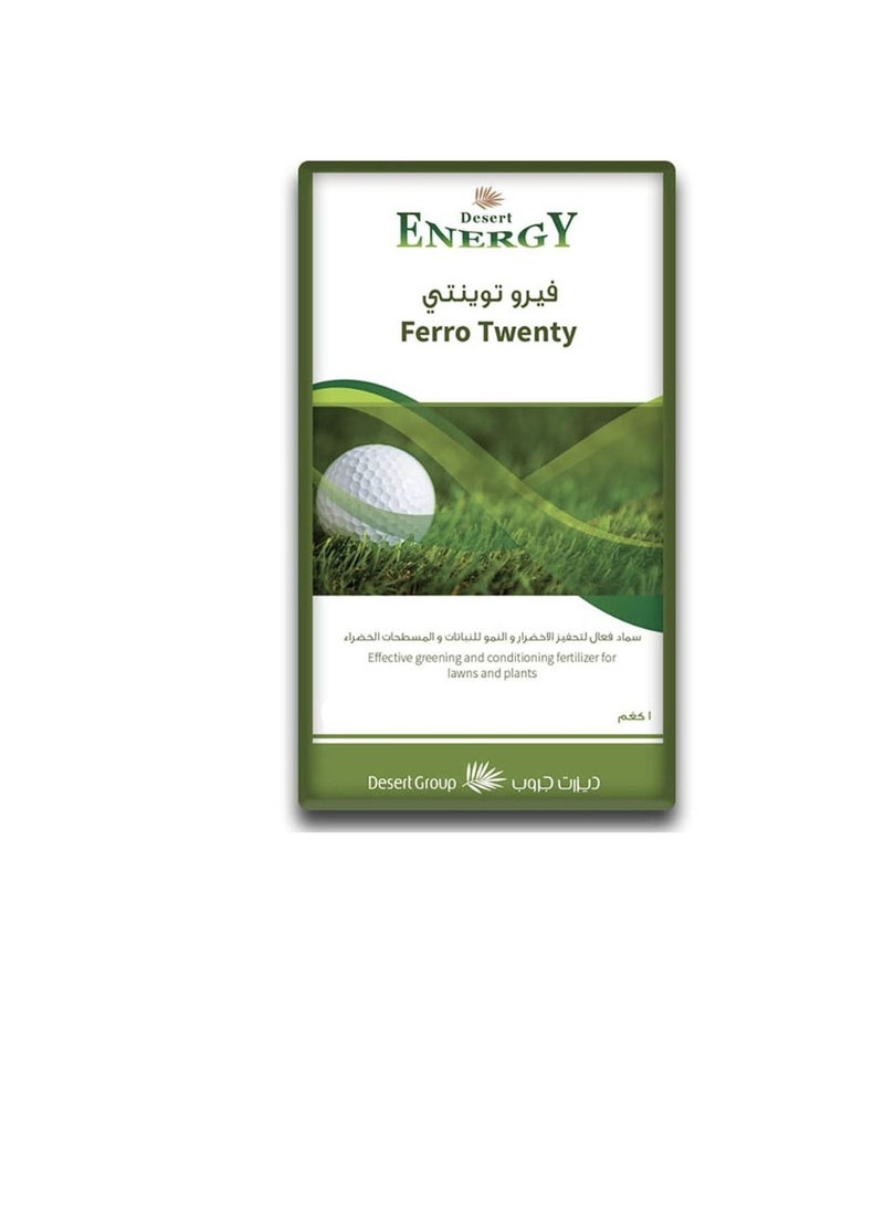 Desert Energy Ferro Twenty 1 kg - Image 1