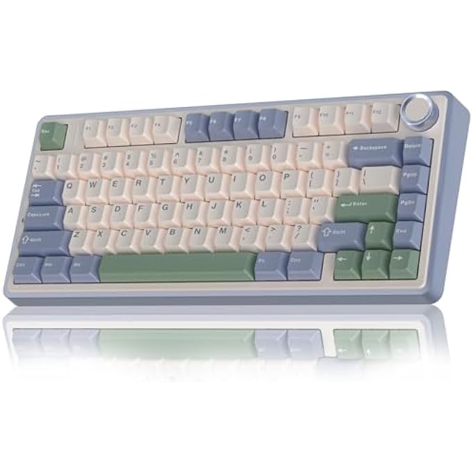 rayihni F75 75% WIRELESS MECHANICAL KEYBOARD, HOT SWAPPABLE CREAMY KEYBOARD, PRE-LUBED REAPER SWITCHES RGB BACKLIT GAMING KEYBOARDS, 2.4GHZ/TYPE-C/BT5.0(WHITE & GREEN) - Image 1