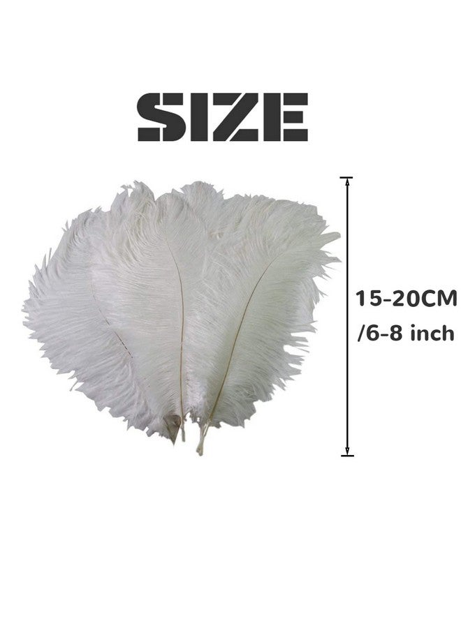 vipolish 50 Pcs 6-8 Inch Fluffy Ostrich Feathers Wedding Flower Arrangement Feathers For Diy Crafts Hat Decoration Stage - Image 2