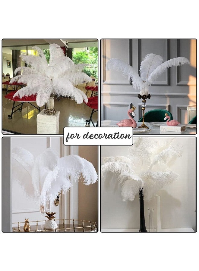 vipolish 50 Pcs 6-8 Inch Fluffy Ostrich Feathers Wedding Flower Arrangement Feathers For Diy Crafts Hat Decoration Stage - Image 3