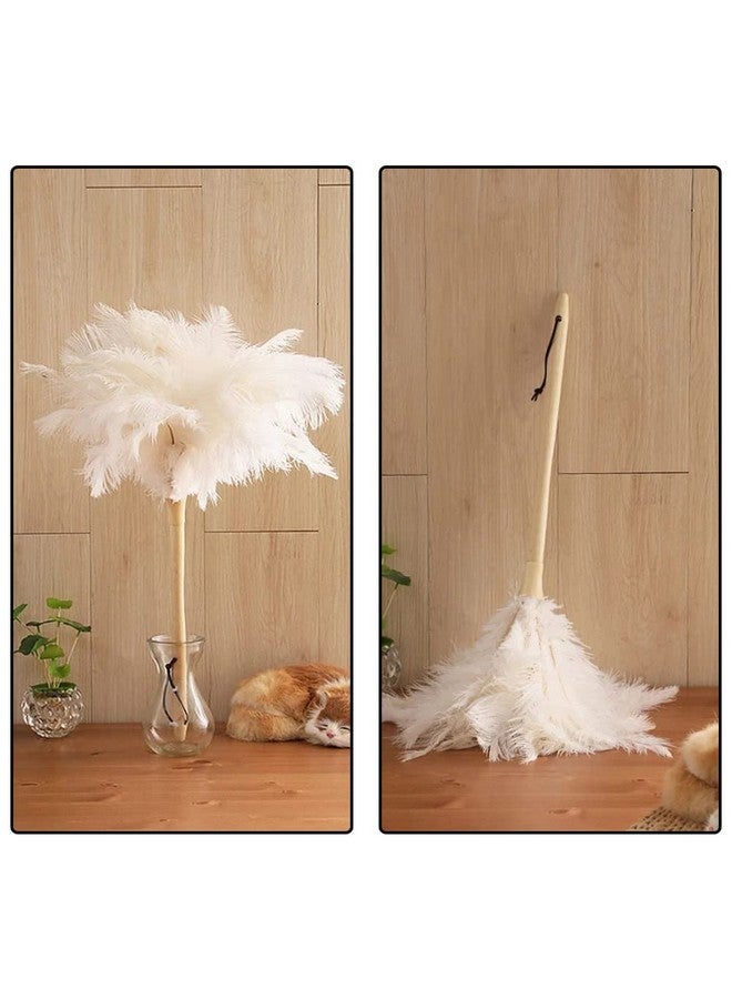 vipolish 50 Pcs 6-8 Inch Fluffy Ostrich Feathers Wedding Flower Arrangement Feathers For Diy Crafts Hat Decoration Stage - Image 4