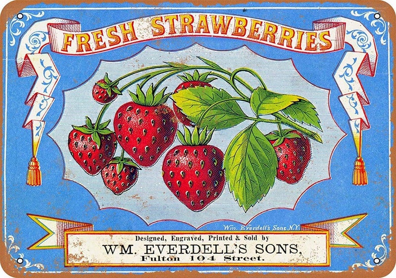 Ylens Vintage Retro 8x12 Sign 1868 Fresh Strawberries Berries Funny Fruits Vegetables Food Sweet Summer Wall Decor Home Decor Novlety Tin Metal Sign