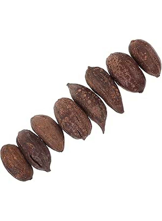 8 Pcs Natural Dried Fruit Chewing Toys for Parrots Macaws Cage Accessories Bird Foraging - Image 1
