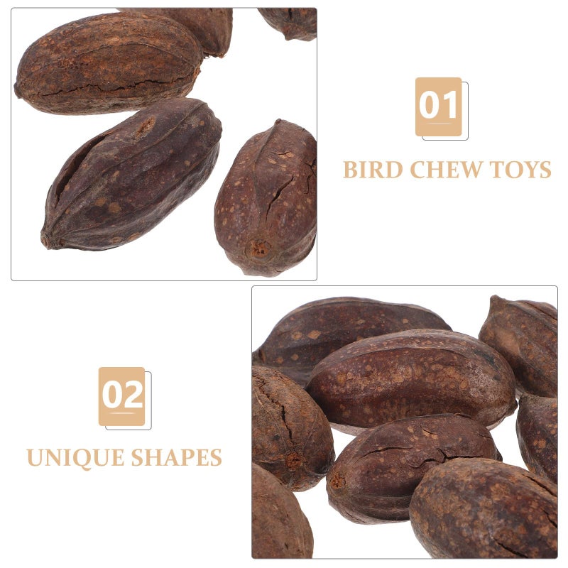8 Pcs Natural Dried Fruit Chewing Toys for Parrots Macaws Cage Accessories Bird Foraging - Image 5