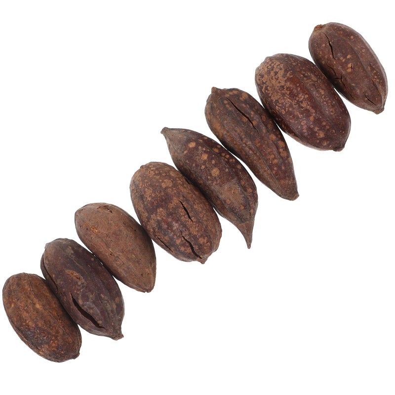 8 Pcs Natural Dried Fruit Chewing Toys for Parrots Macaws Cage Accessories Bird Foraging - Image 2